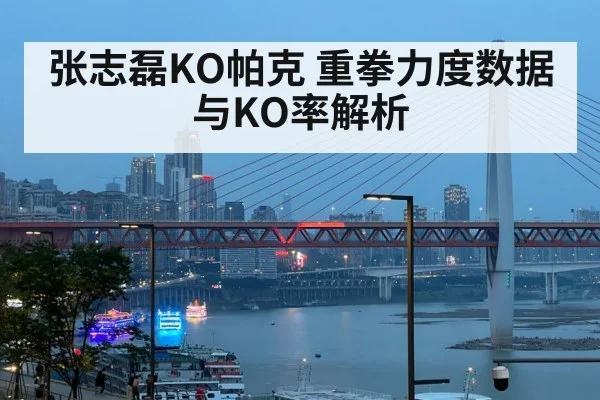 张志磊KO帕克 重拳力度数据与KO率解析