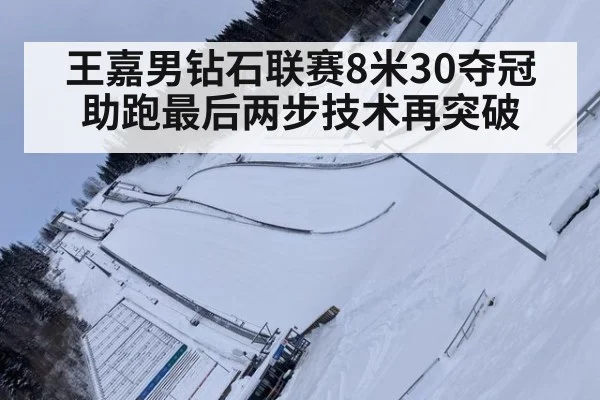 王嘉男钻石联赛8米30夺冠 助跑最后两步技术再突破