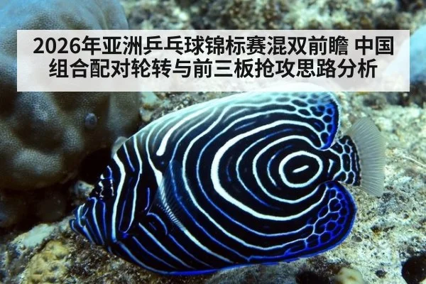 2026年亚洲乒乓球锦标赛混双前瞻 中国组合配对轮转与前三板抢攻思路分析 - jiuyou game